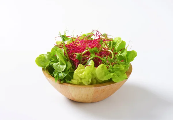 Mixed green salad — Stock Photo, Image