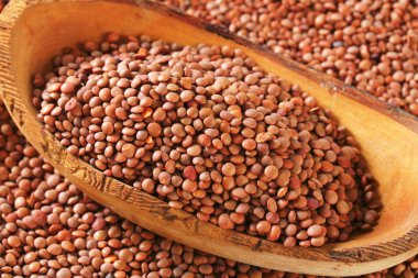 Bütün kırmızı mercimek