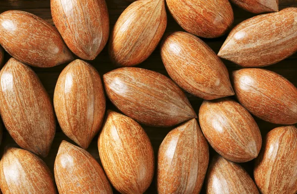 Unshelled pecans — Stock Photo, Image