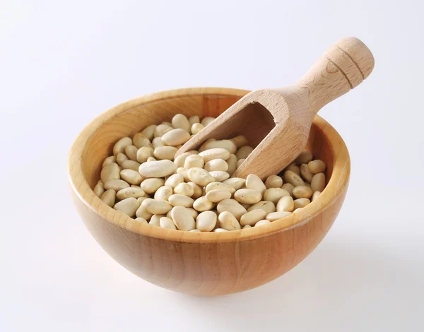 White beans — Stock Photo, Image