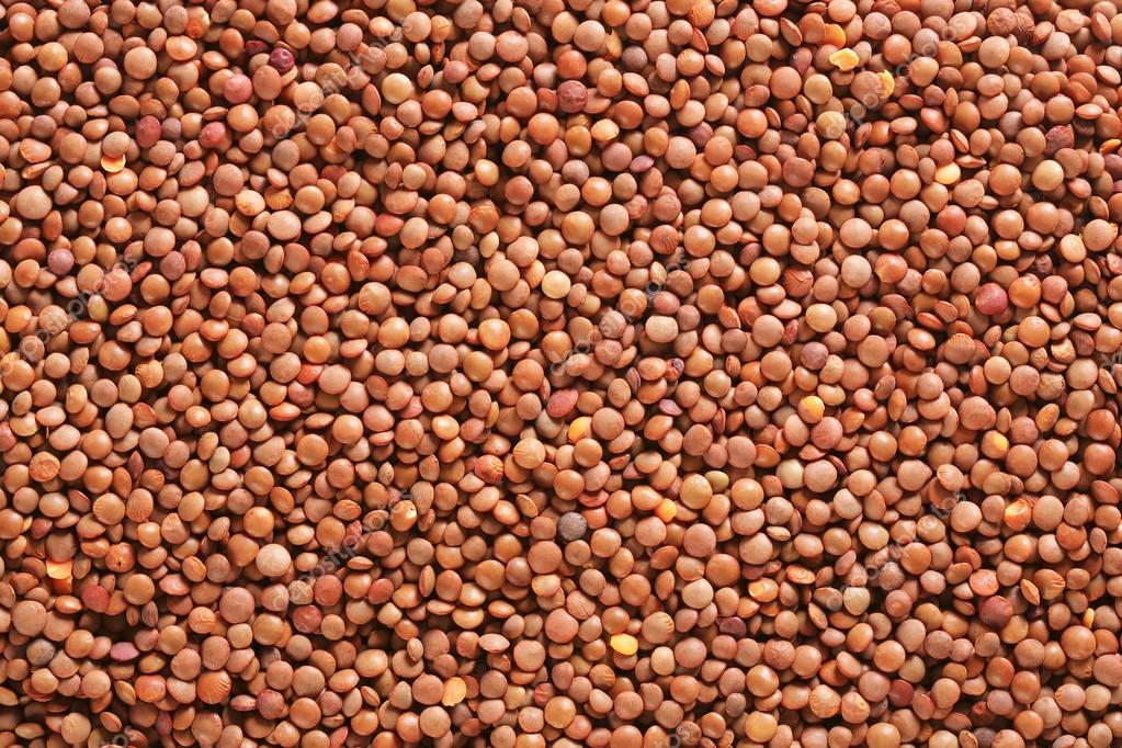 Raw whole red lentils — Stock Photo © ajafoto #55453951