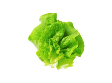 Fresh lettuce clipart