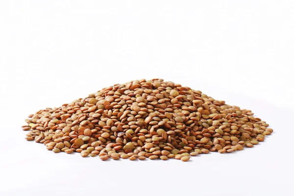 Pile of brown lentils — Stock Photo, Image