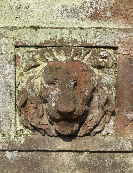 Alivio de cabeza de león — Foto de Stock