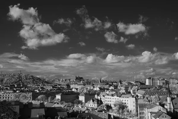 Prague skyline with St. Vitus Cathedral in the background — Stock Photo, Image