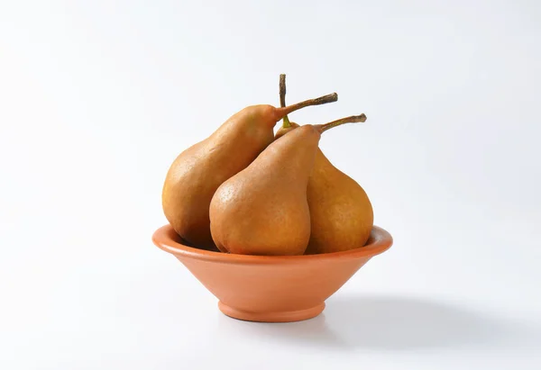 Mogna Bosc päron — Stockfoto