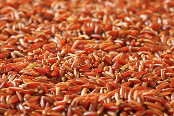 Camargue red rice — Stock Photo, Image