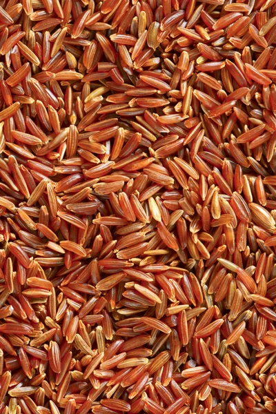 Camargue red rice — Stock Photo, Image