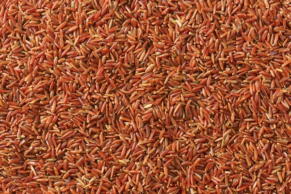 Arroz rojo Camargue —  Fotos de Stock