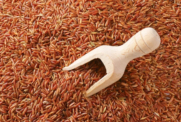 Arroz rojo Camargue — Foto de Stock