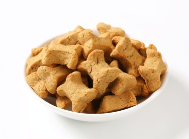 köpek bisküvi kemikler