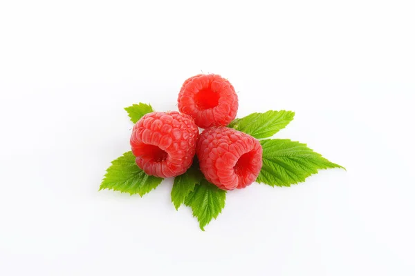 Fresh raspberries on white background — Stock Photo, Image