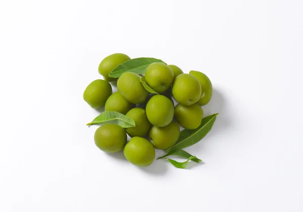 新鮮なグリーン オリーブ — ストック写真