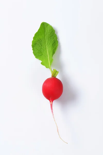 Fresh red radish — Stock Photo, Image