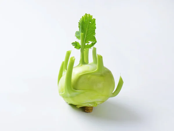 Frischer Kohlrabi — Stockfoto