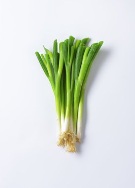 Spring onions clipart