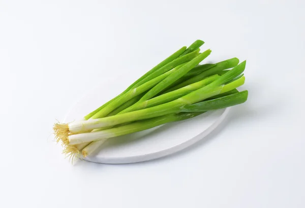 Groene uien — Stockfoto