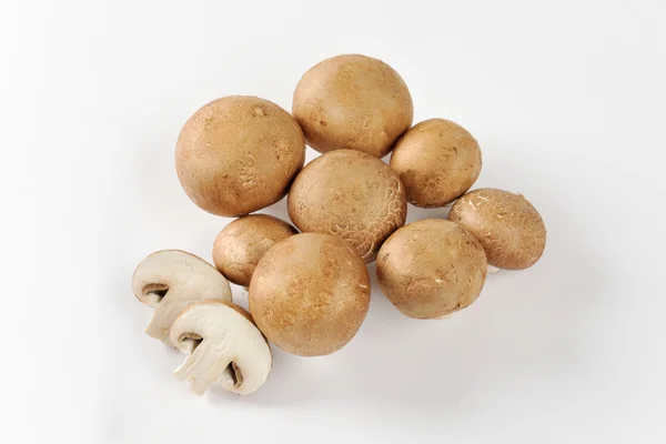 Roman brown mushrooms — Stock Photo, Image