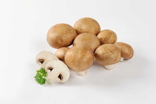 Cremini mushrooms — Stock Photo, Image