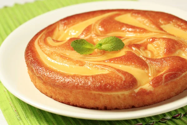 Puddingcreme Biskuitkuchen — Stockfoto