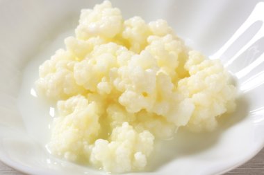 süt kefir taneleri (Tibet mantar)