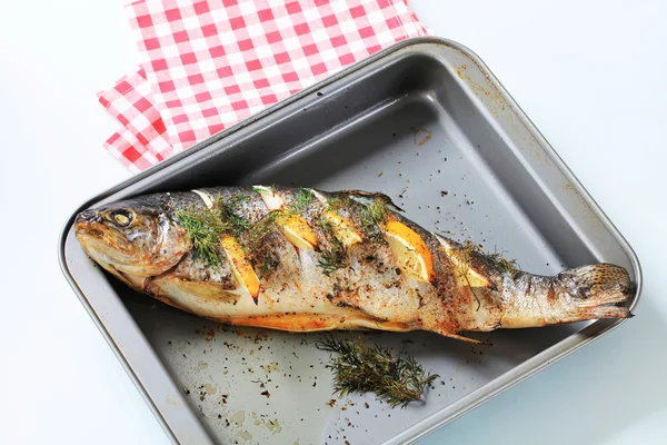 Trout with lemon and dill — Stock Photo, Image