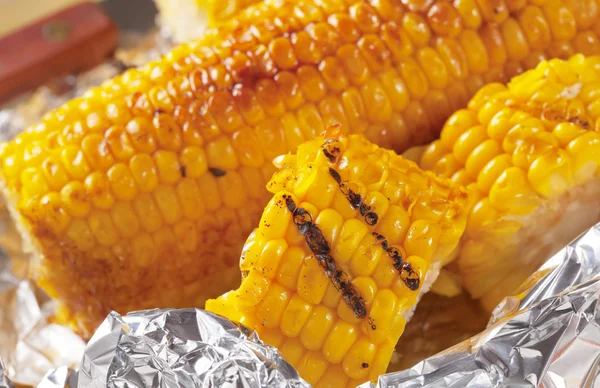 Grilovaná kukuřice — Stock fotografie