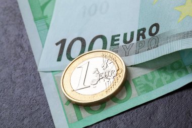 Euro madeni para ve banknot