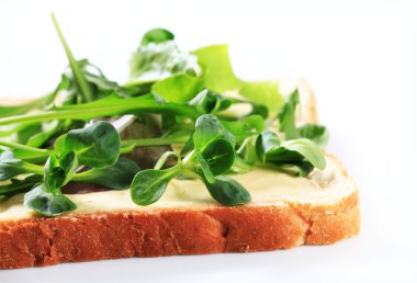 dilim ekmek taze salata yeşillikleri ile