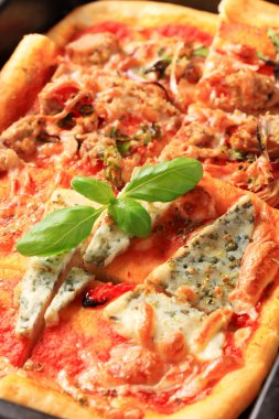 dikdörtgen pizza