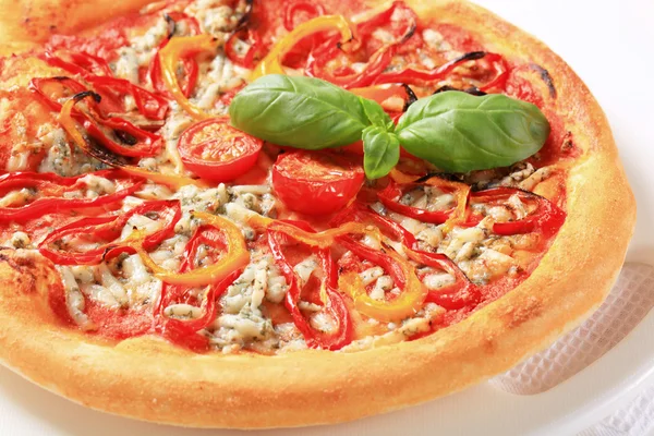 Fresh baked pizza — Stock Photo, Image