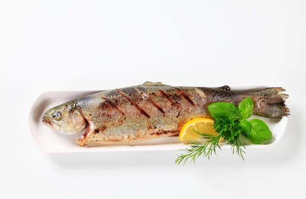 Gegrilde forel — Stockfoto