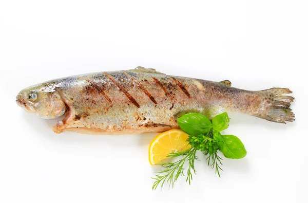 Gegrilde forel — Stockfoto