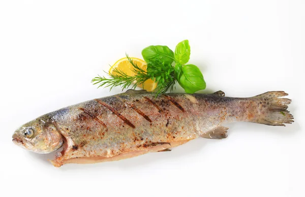 Gegrilde forel — Stockfoto