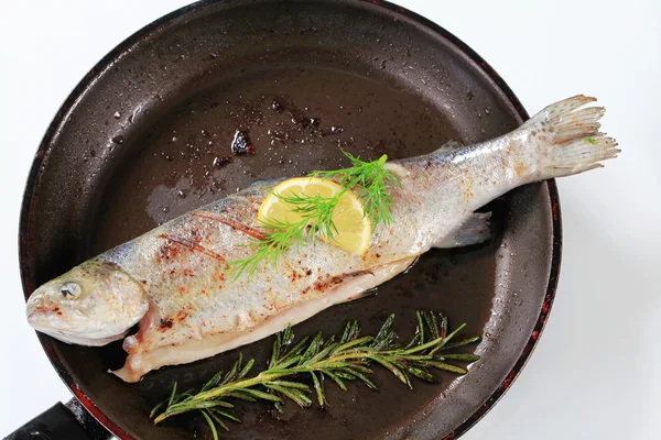 Gegrilde forel — Stockfoto