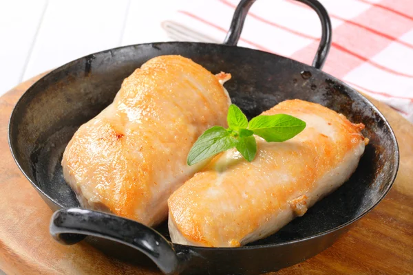 Seared chicken breast fillets — Stock Photo, Image