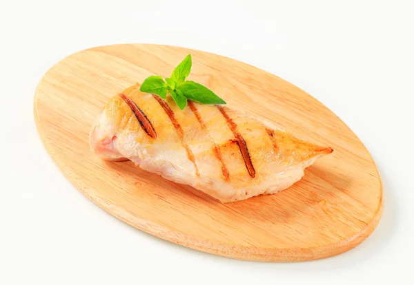 Grilled chicken breast — Stock Photo, Image