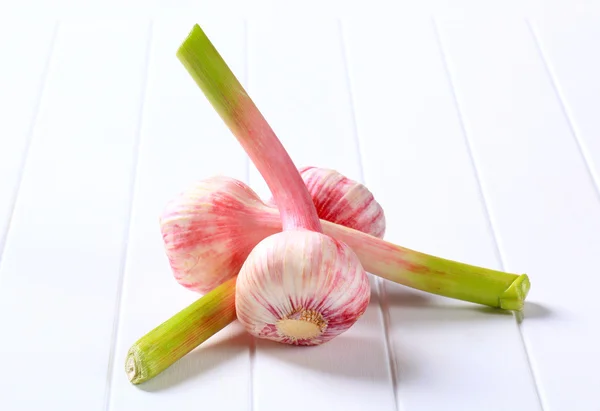 Three fresh garlic bulbs — Stock Photo, Image
