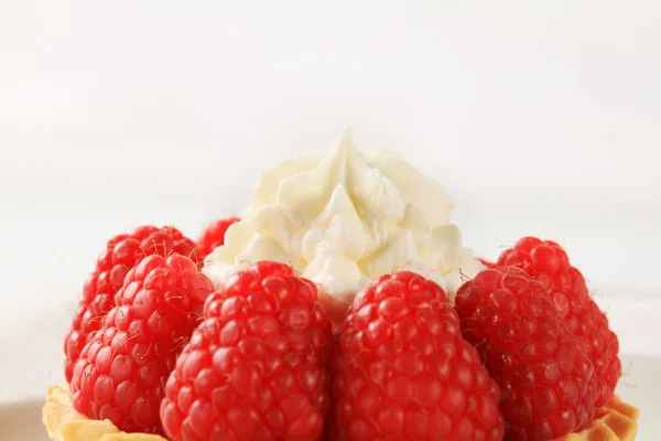 Torta de framboesa — Fotografia de Stock