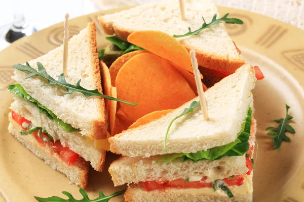 Sandwich sayuran dan keripik — Stok Foto