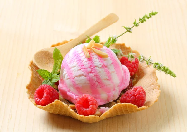 Ice cream in a wafer bowl — Stock Photo, Image