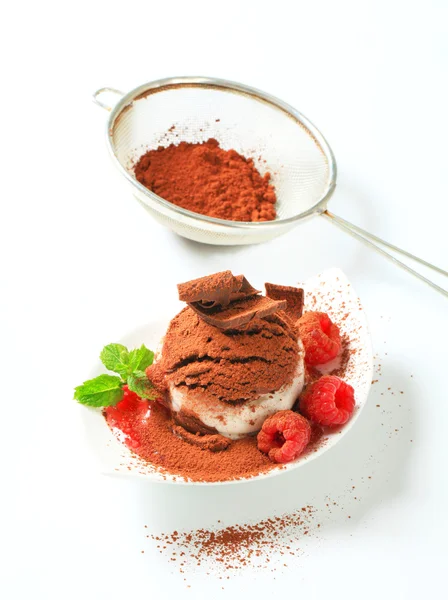 Dessert van de chocolade-vanille ijs — Stockfoto