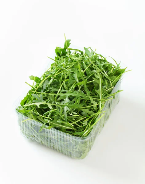 Sült saláta kitûnõ levelek — Stock Fotó