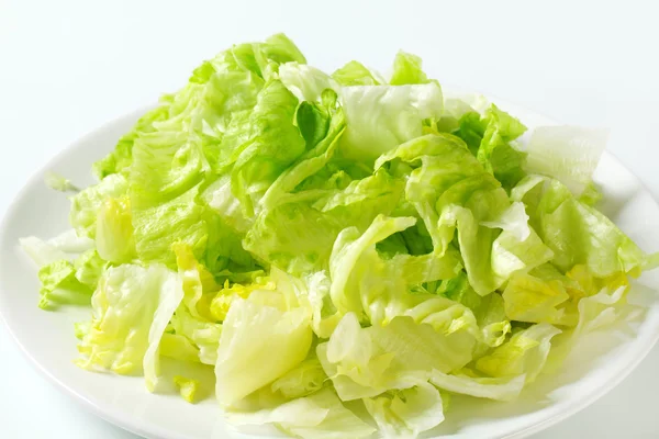 Iceberg lettuce salad — Stock Photo, Image