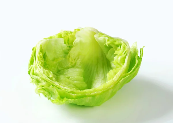 Bowl made of ice lettuce — Stok fotoğraf