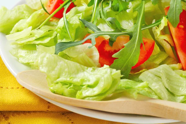 Uppfriskande sallad — Stockfoto