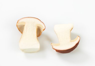 yarıya yenilebilir mantar