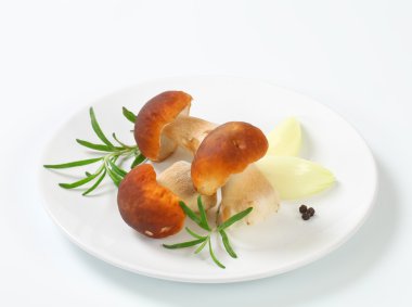 taze porçini mantarı