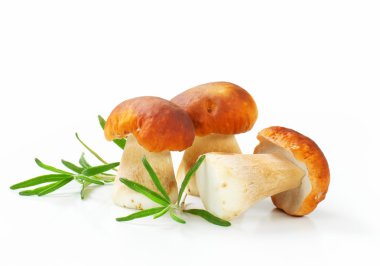 taze porçini mantarı
