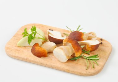 taze porçini mantarı 